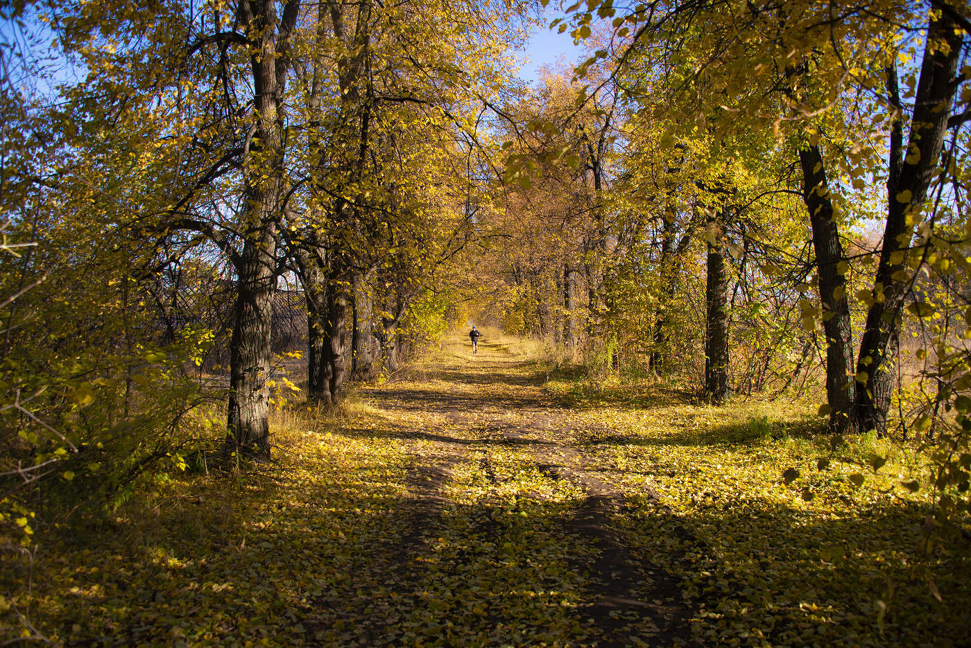 Утро в октябре