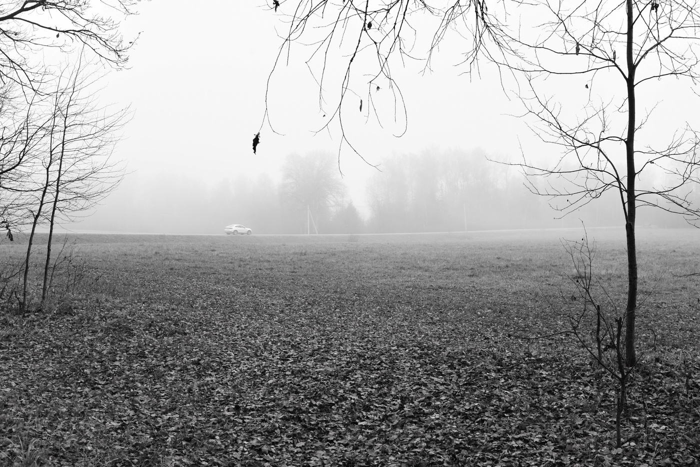 "Ну прощай, прощай до завтра, послезавтра, до зимы..."