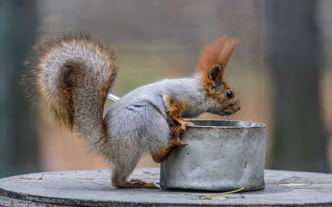 Имидж - ничто, жажда - все!