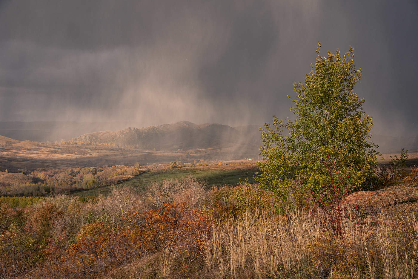 За пеленой снега