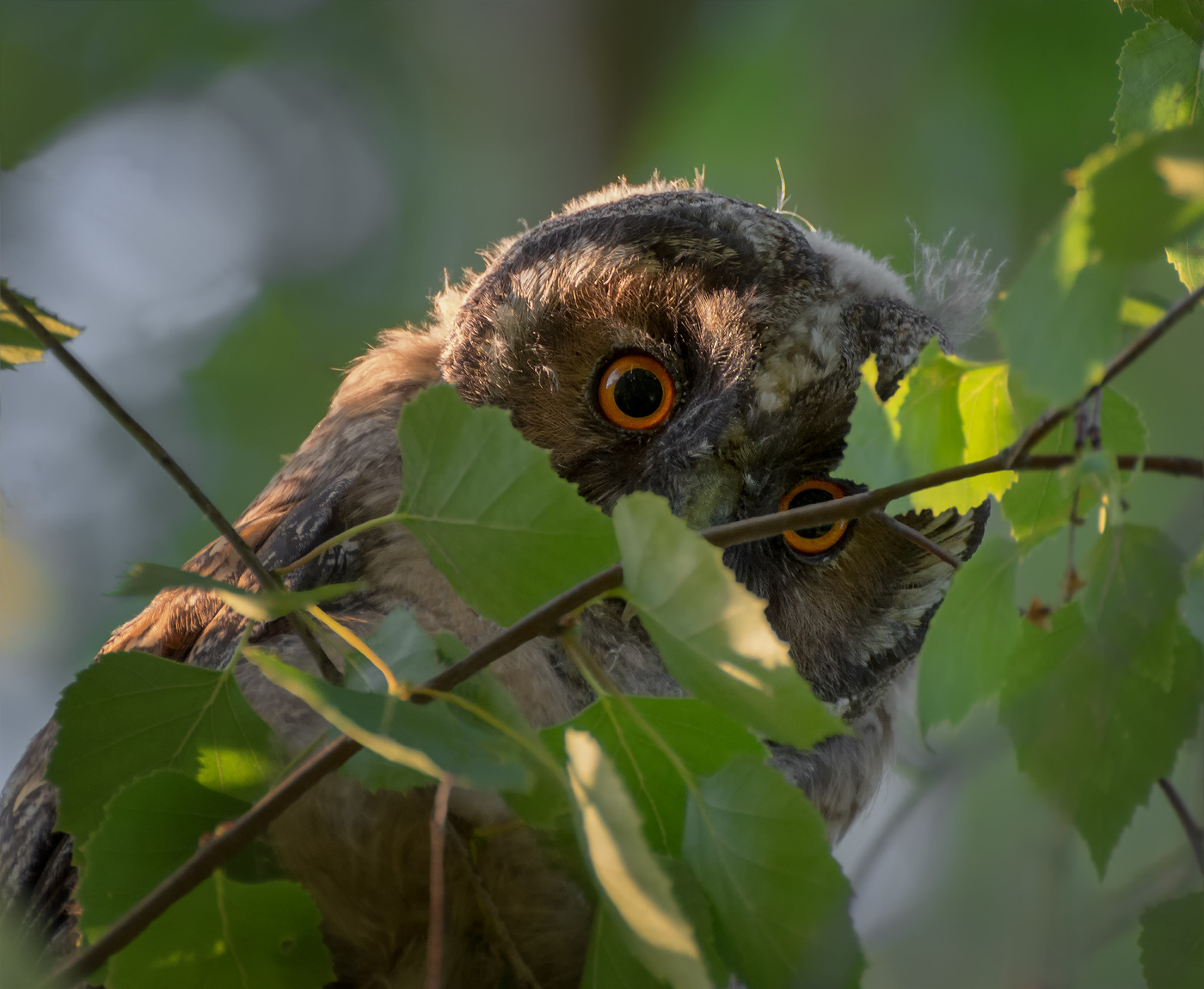 немного ужаса и любопытства..!