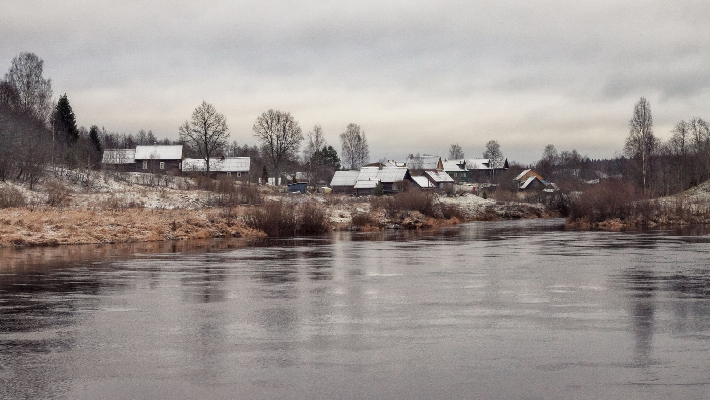 Жизнь вокруг