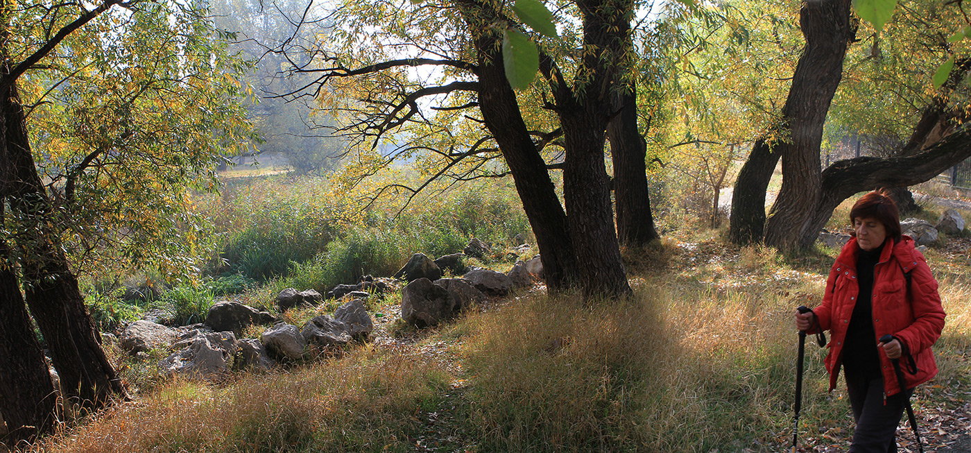 Снимок в парке