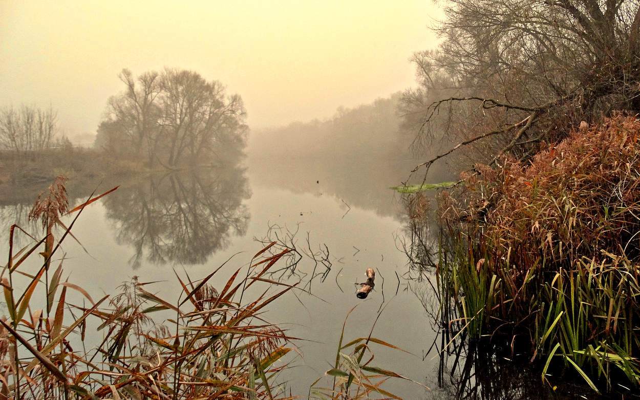 Ноябрьский вечерний туман на реке