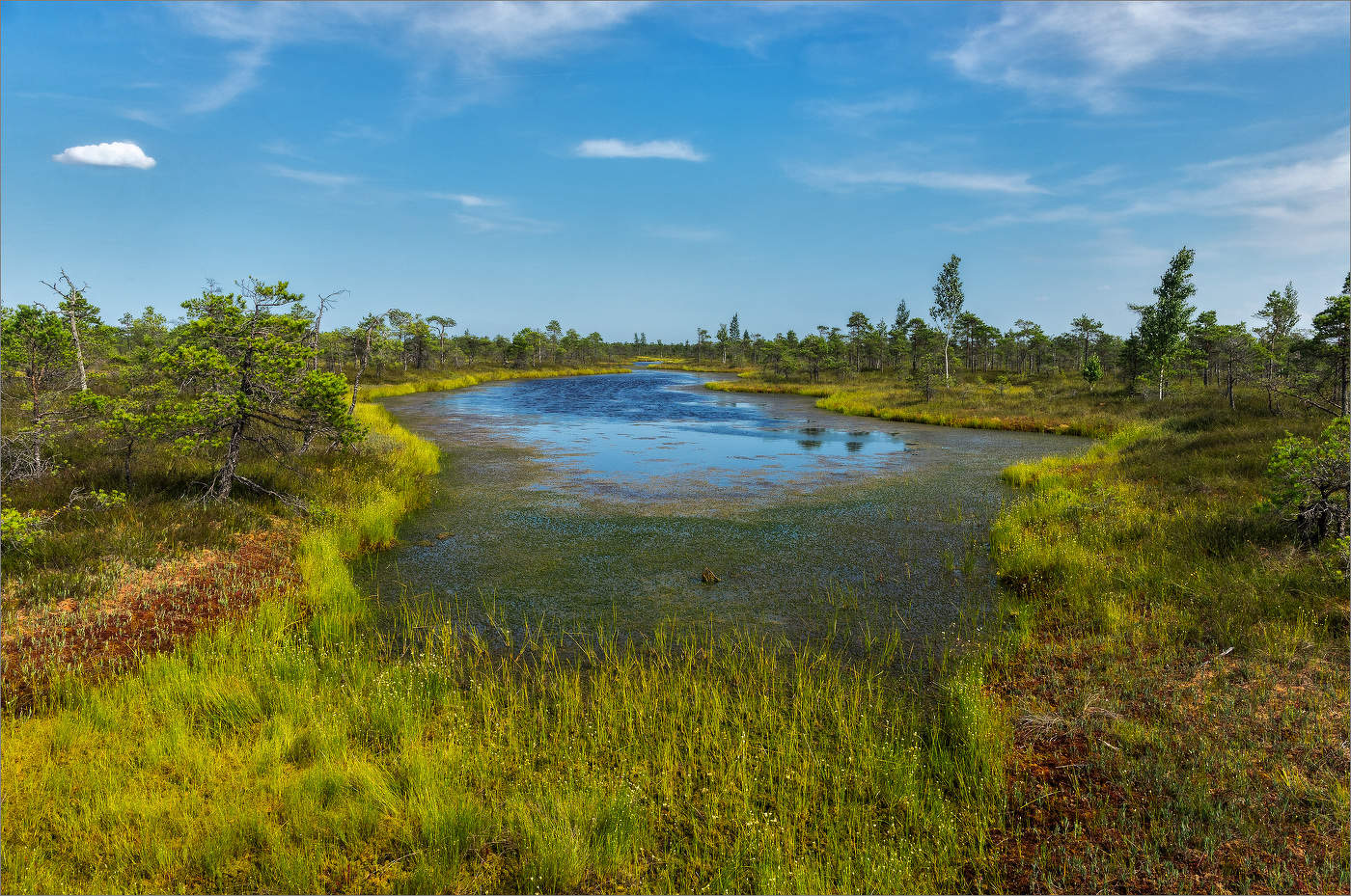 Топи да болота (3)