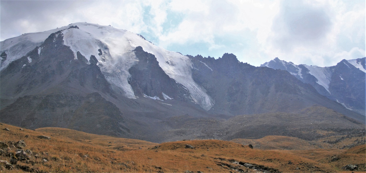 Языки ледника