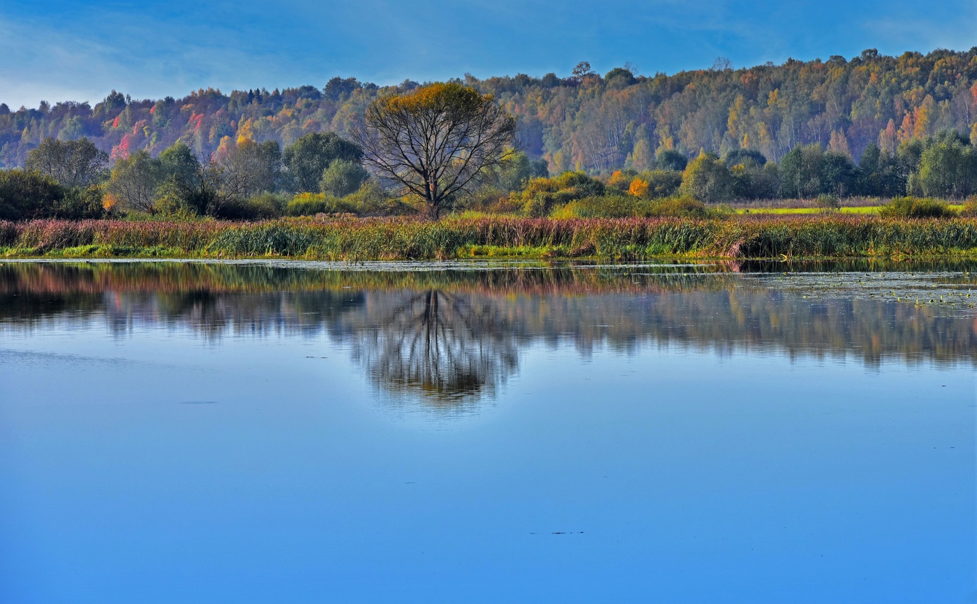 Нежное утро на озере Тишь.