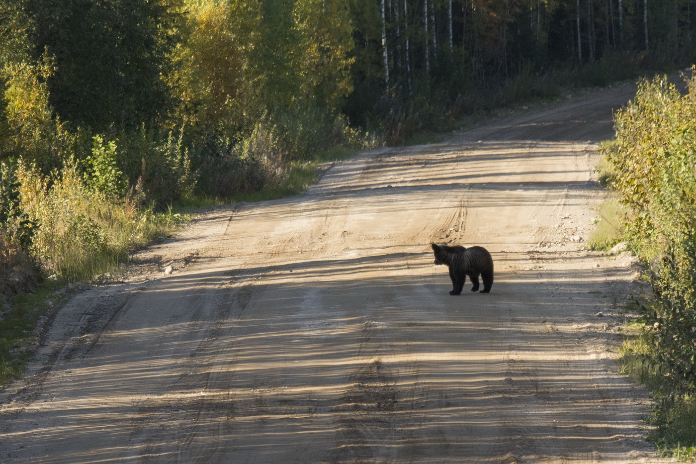 Сентябрьская встреча