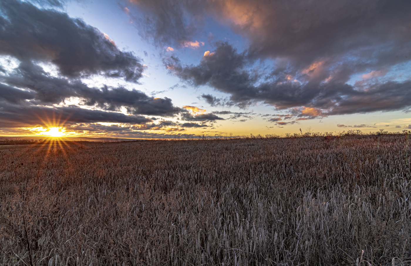 Кубанским вечером