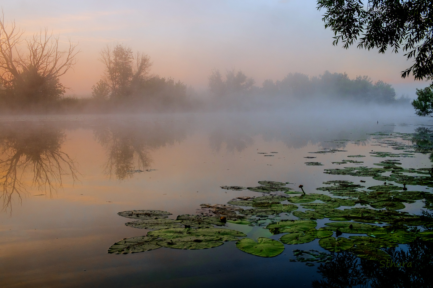 Утро на Студёном.