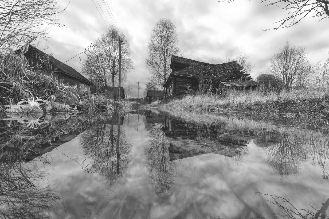 Жизнь вокруг