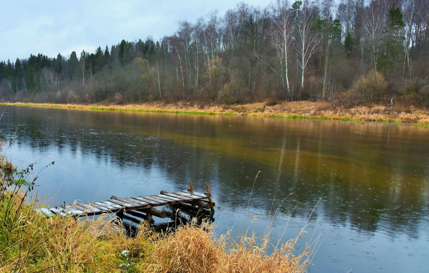 "Грусть в унисон с природою ..."