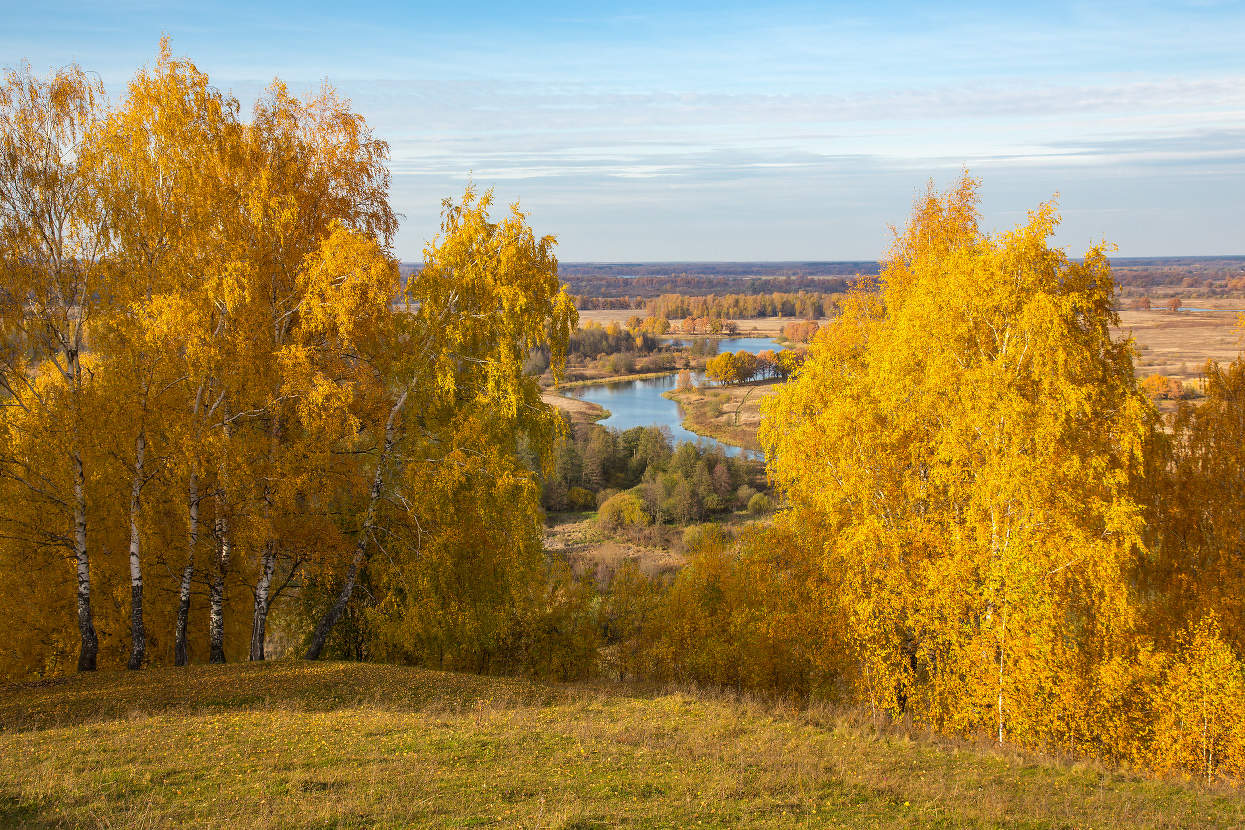 Золотая осень
