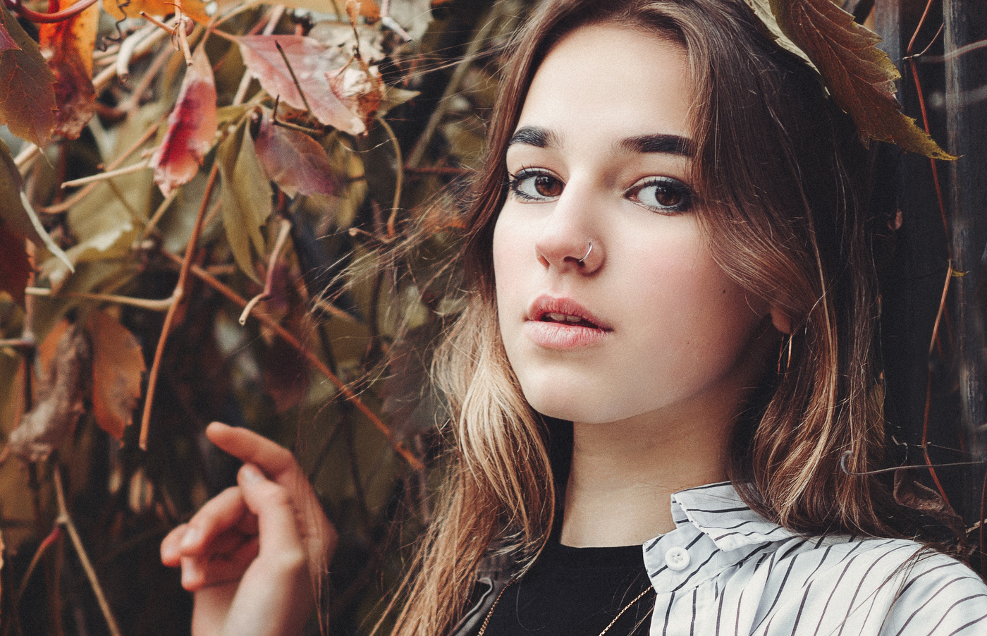 Стоишь, вдыхаешь , освежающе колючий воздух, и на душе так тихо… Это - осень....