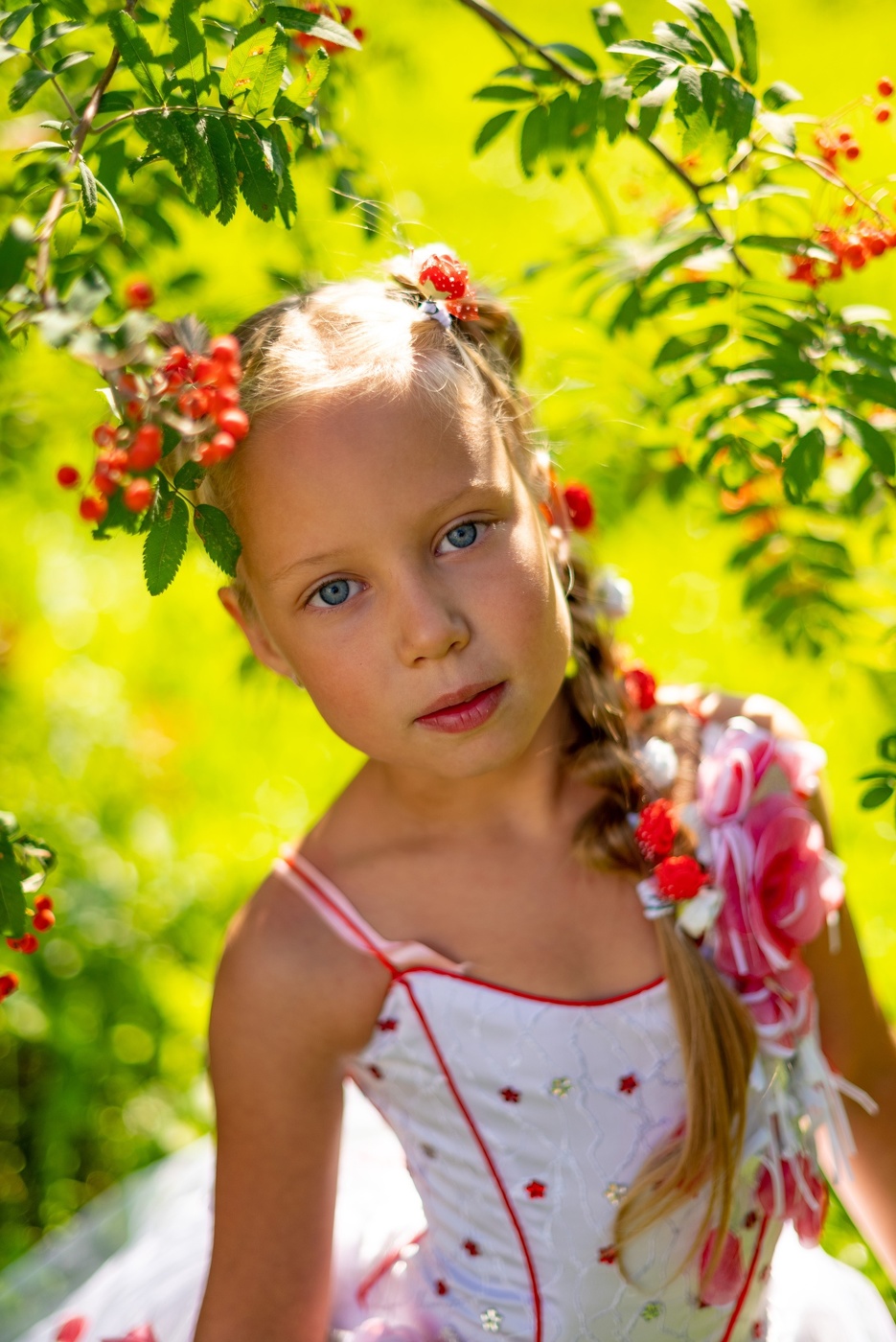 Костры рябин