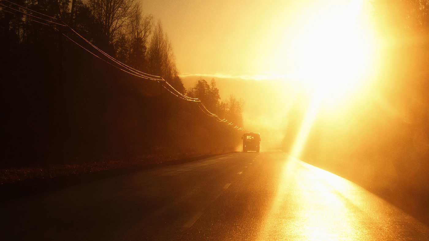 Жизнь вокруг