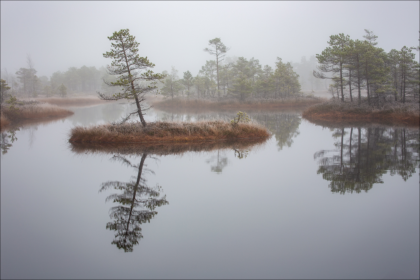 Плавающие острова