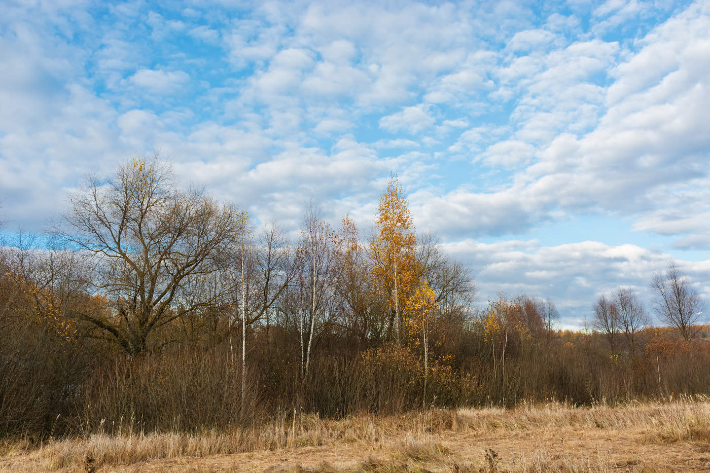 Мотивы октября...