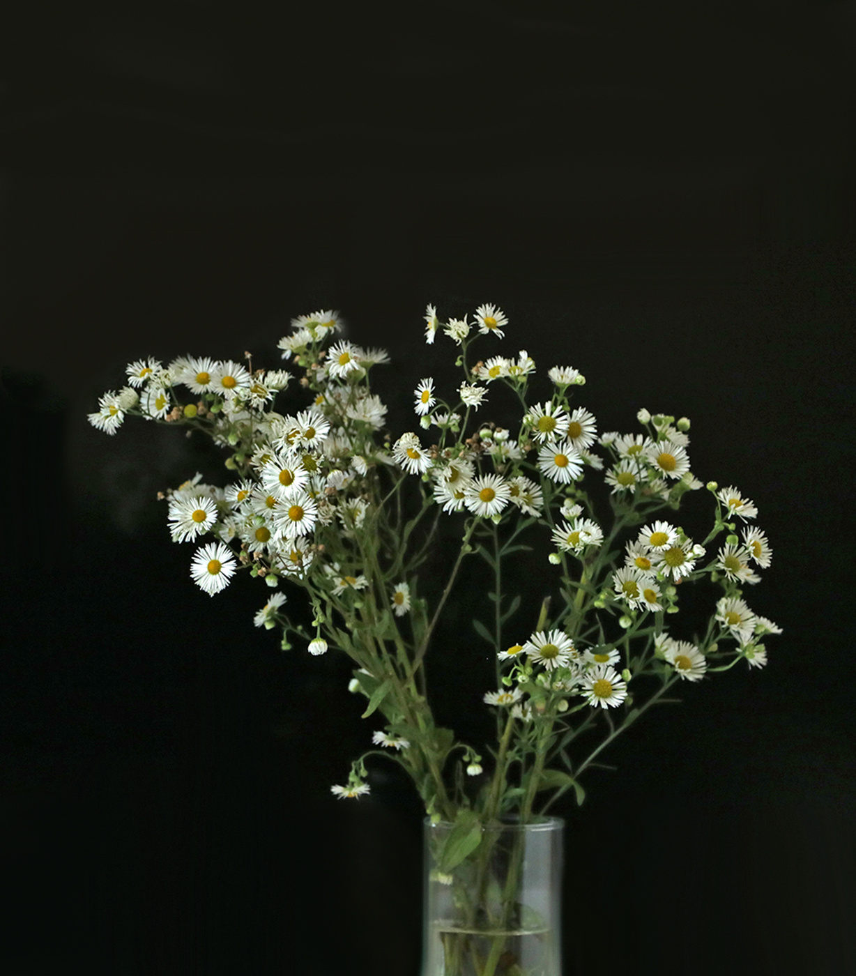 Летний букетик