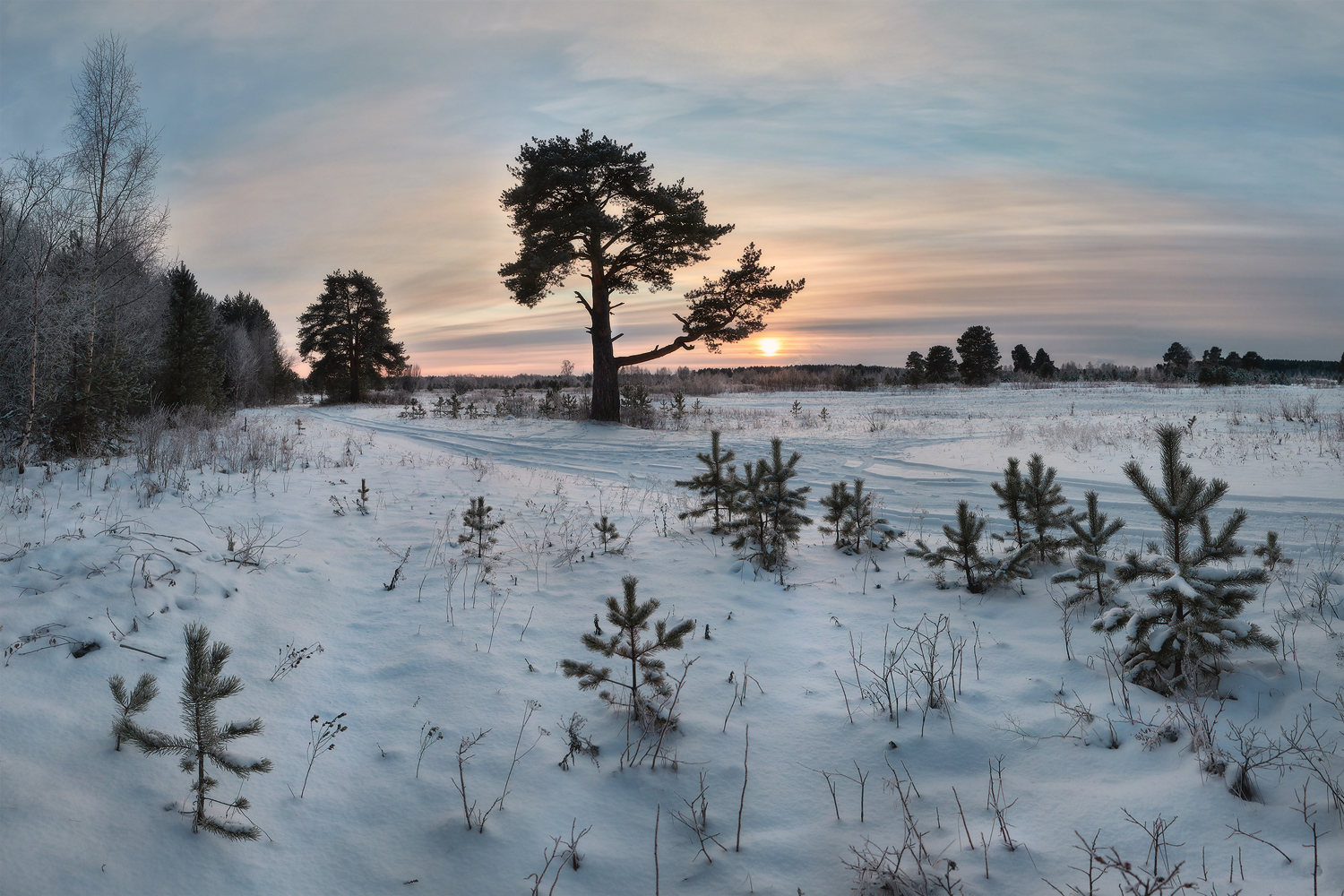 А дерево там - такое...