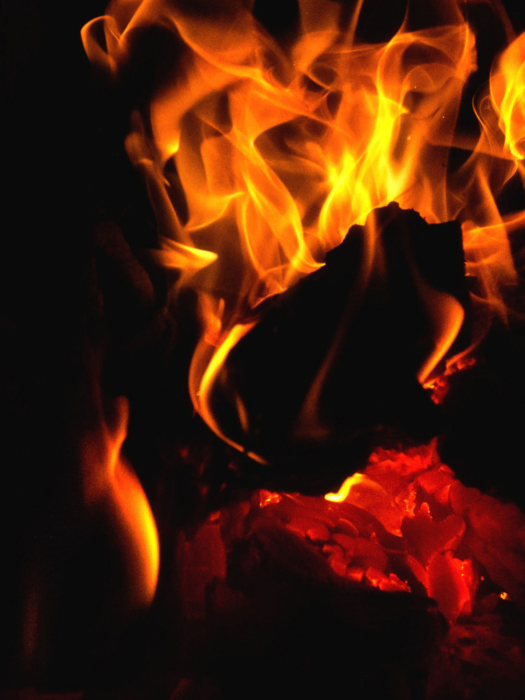 Жизнь вокруг