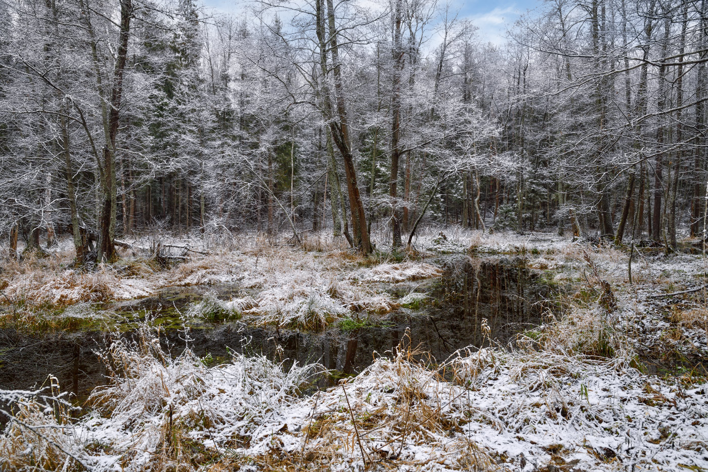 первый снег