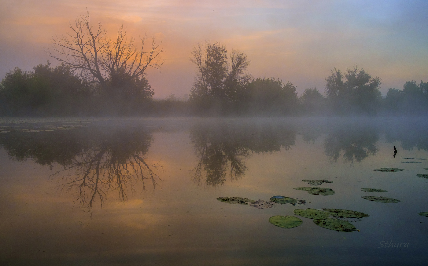 Туман на озере.