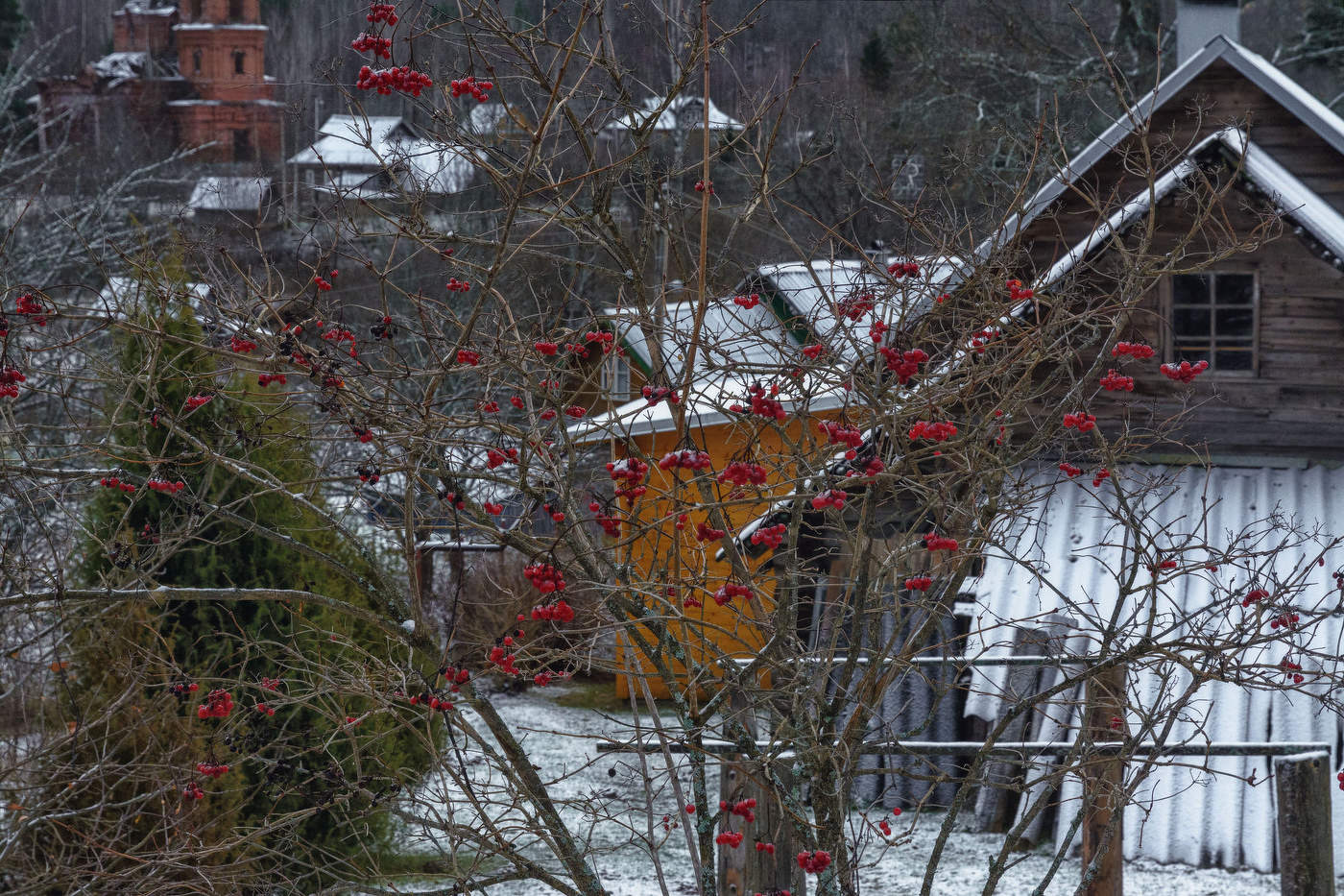 Жизнь вокруг