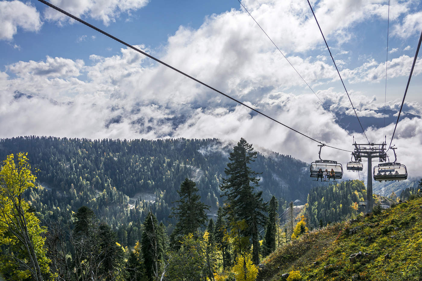 Пролетая над гнездом кукушки.