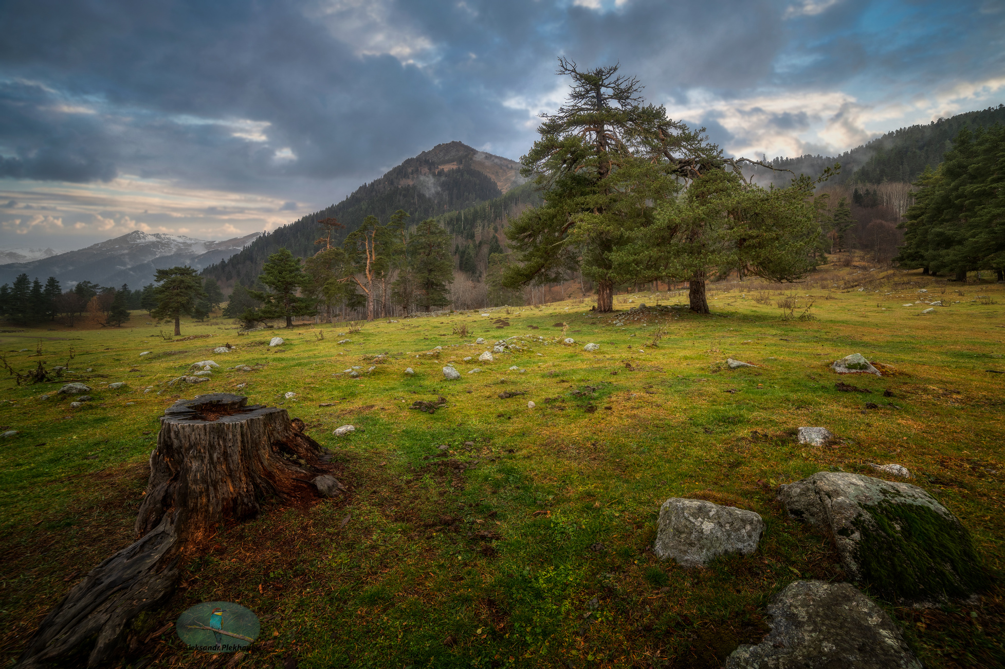 Накрапывал мелкий осенний дождь