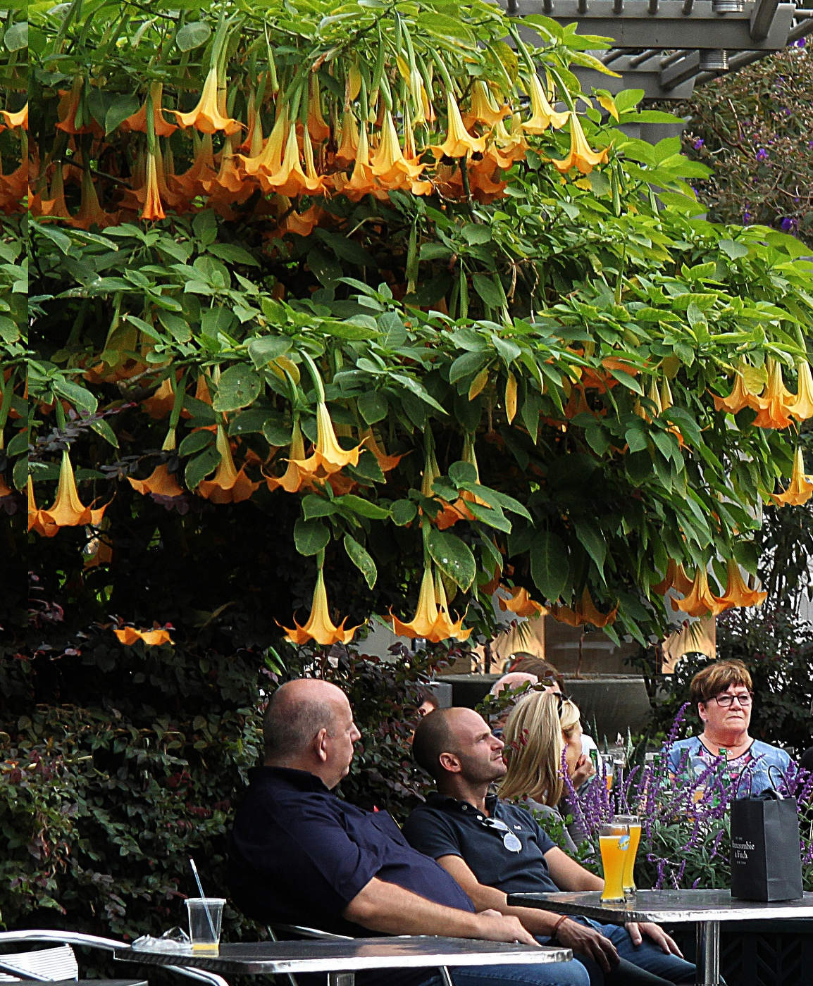 Минутка отдыха