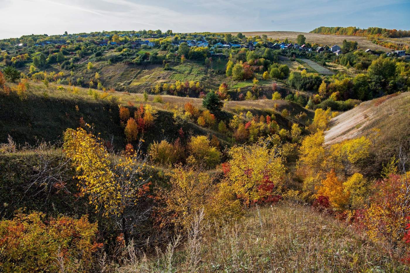 д.Курочкино,Чувашия