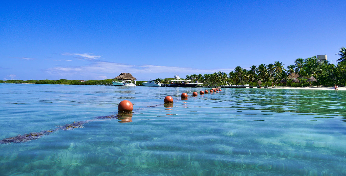 На острове Контой