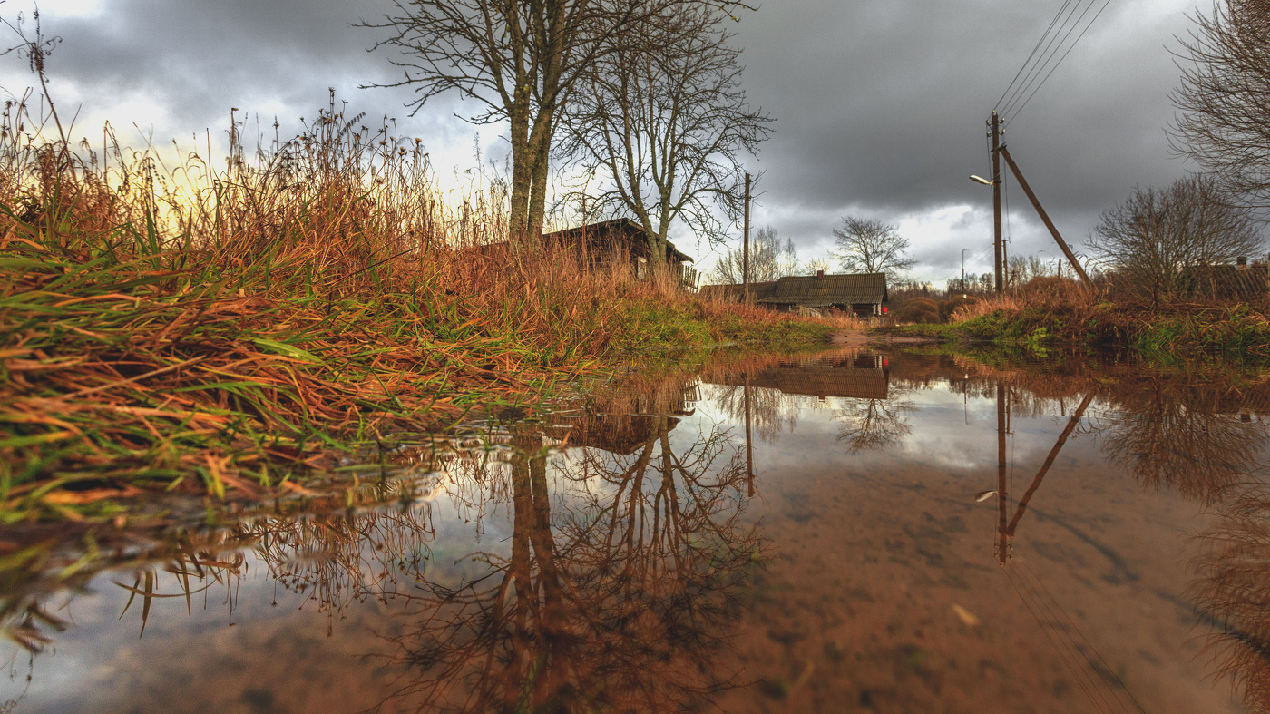 Жизнь вокруг