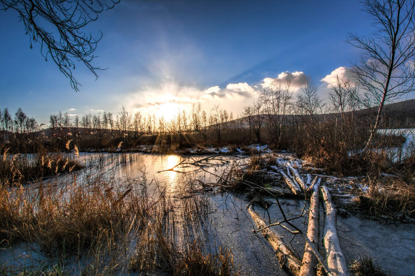 Вечерние лучи