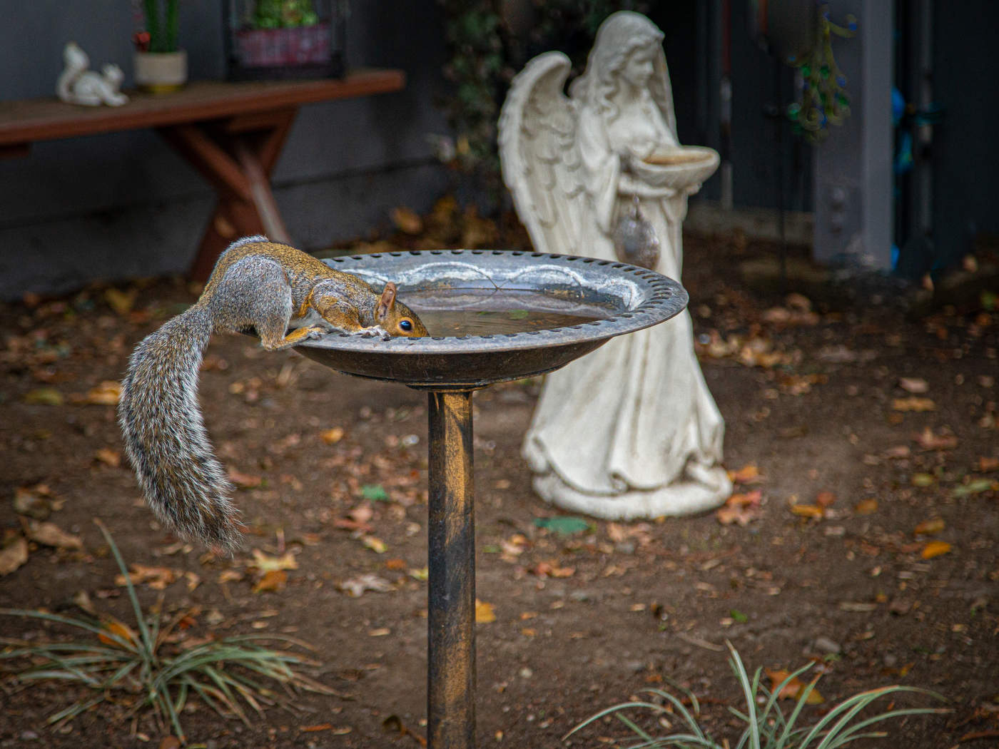 Святая вода