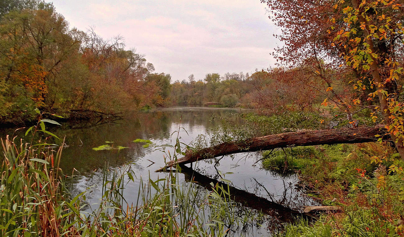 Возвращаясь к краскам октября