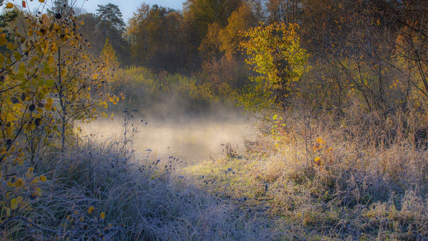 Туман и иней