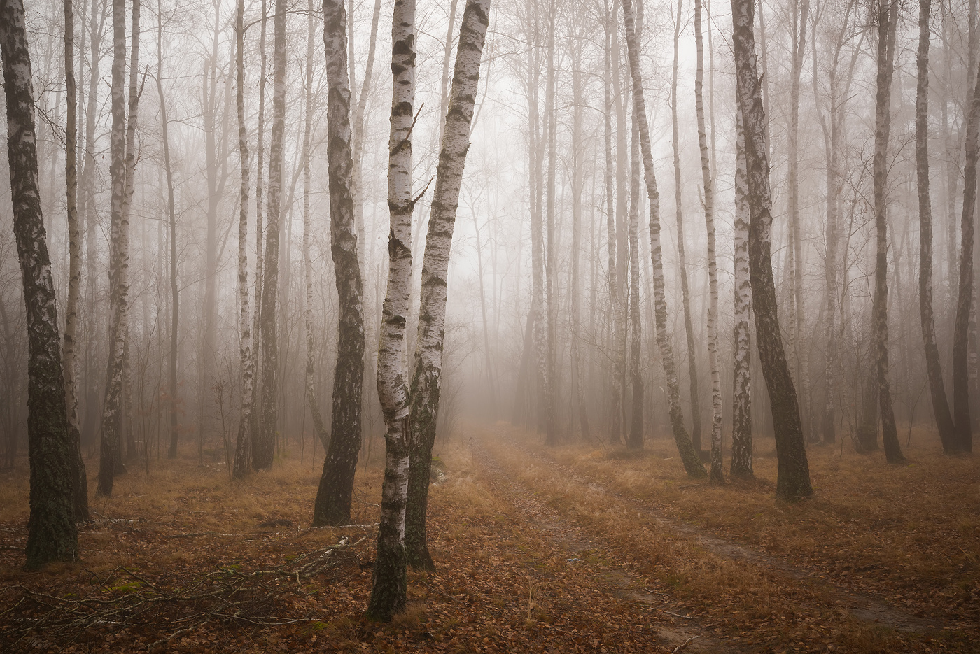 Опустела роща золотая