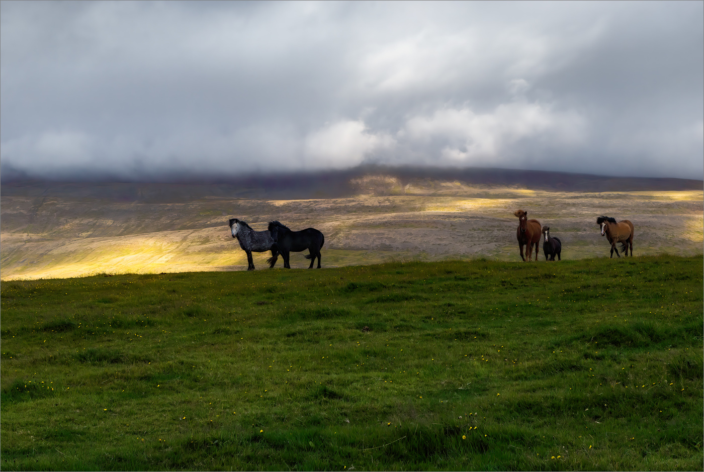 Рожденные на свободе (2)
