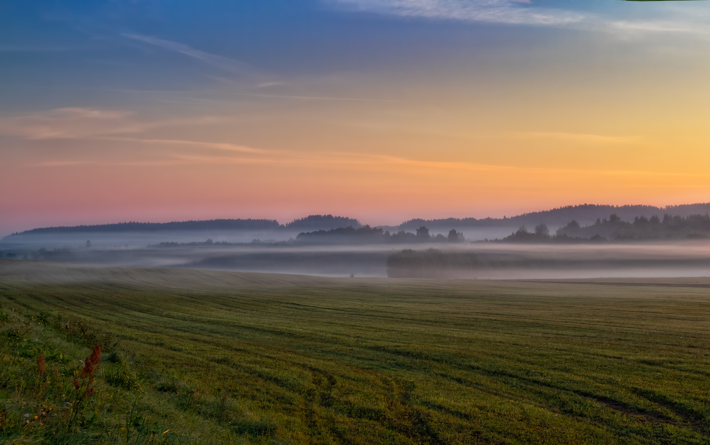 Рассвет и туман