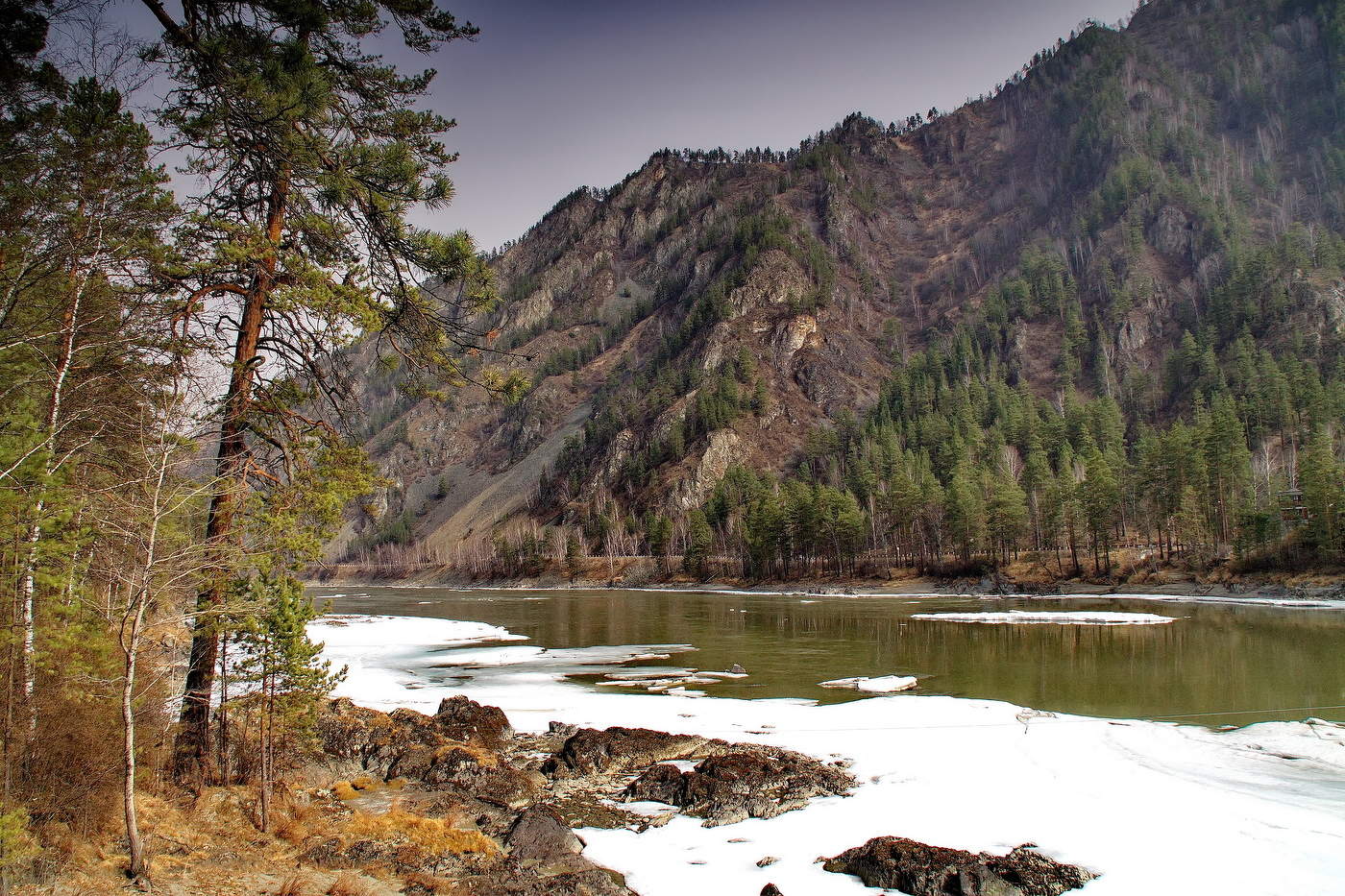 Весенняя Катунь.