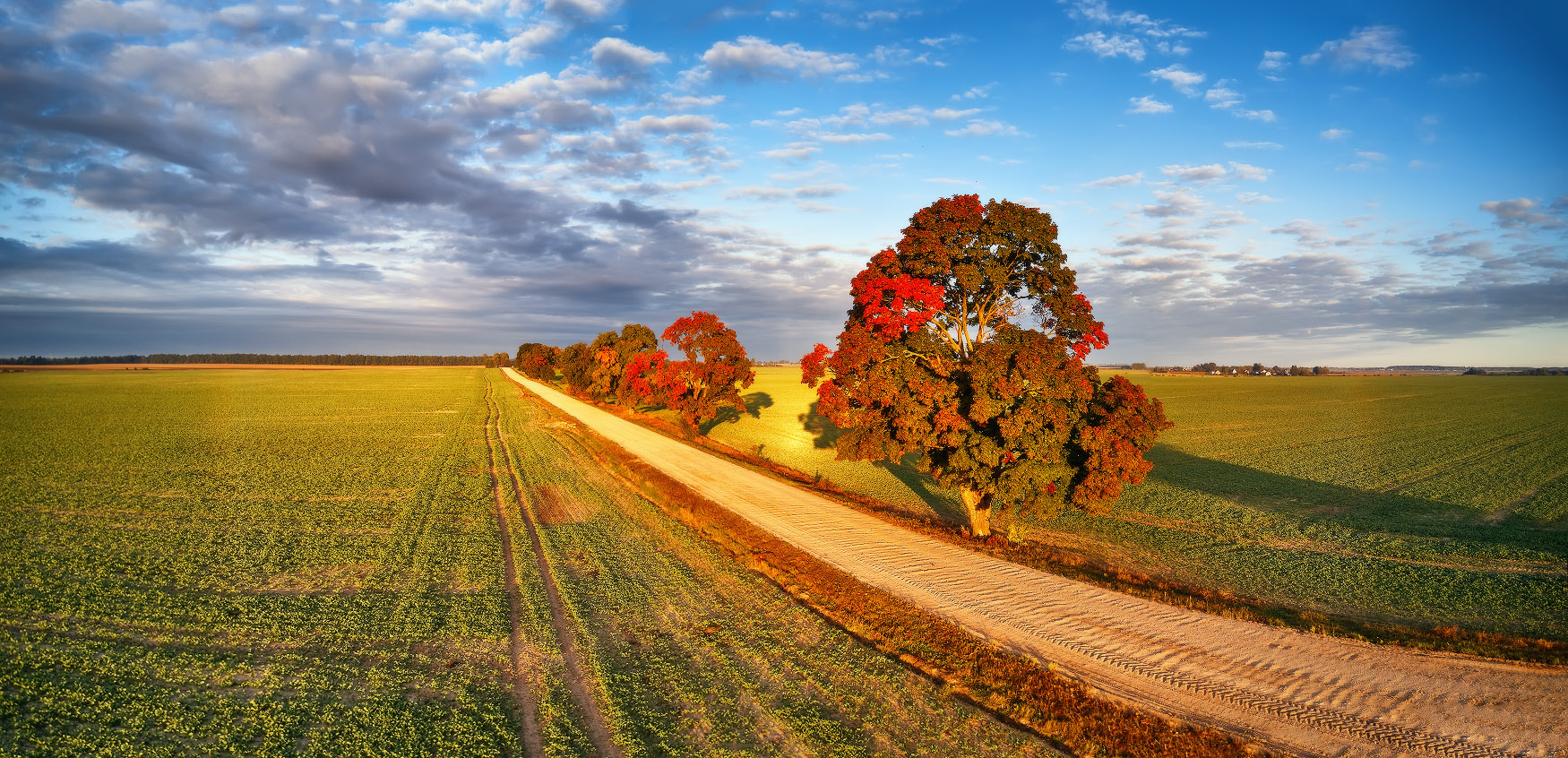 Осень и Клены