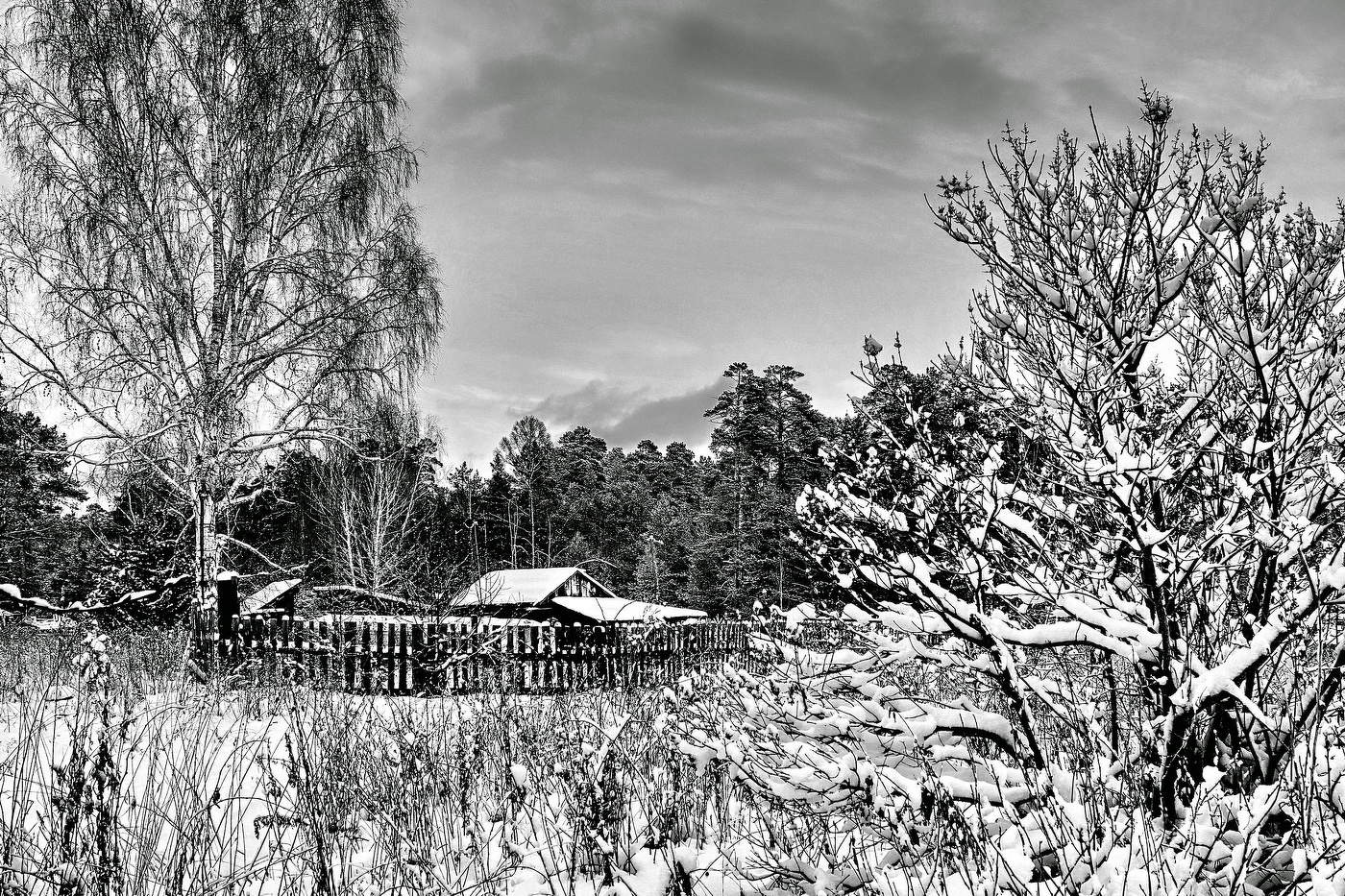 Начало зимы.