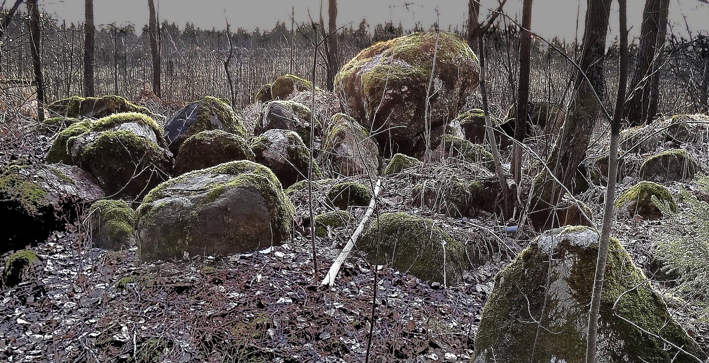 каменное лежбище