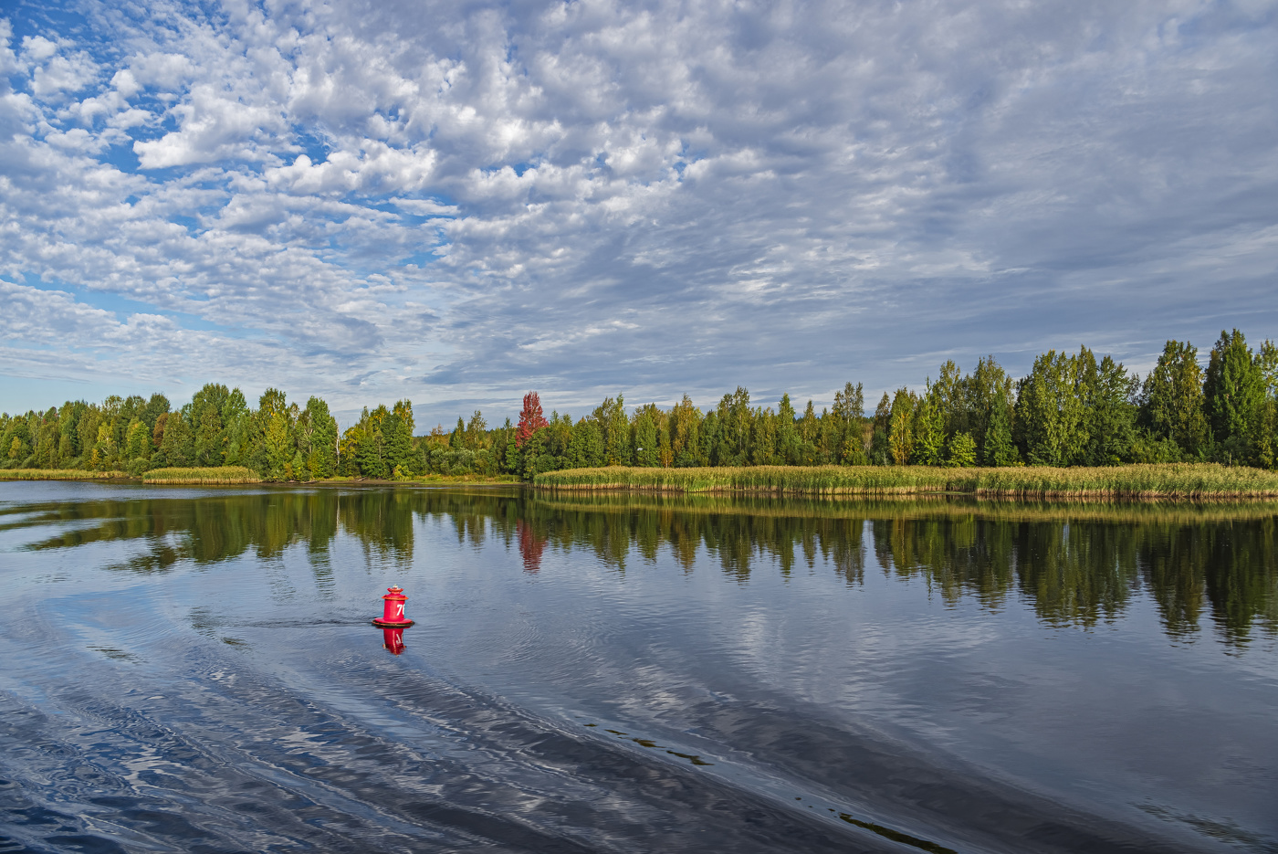 Одним цветом