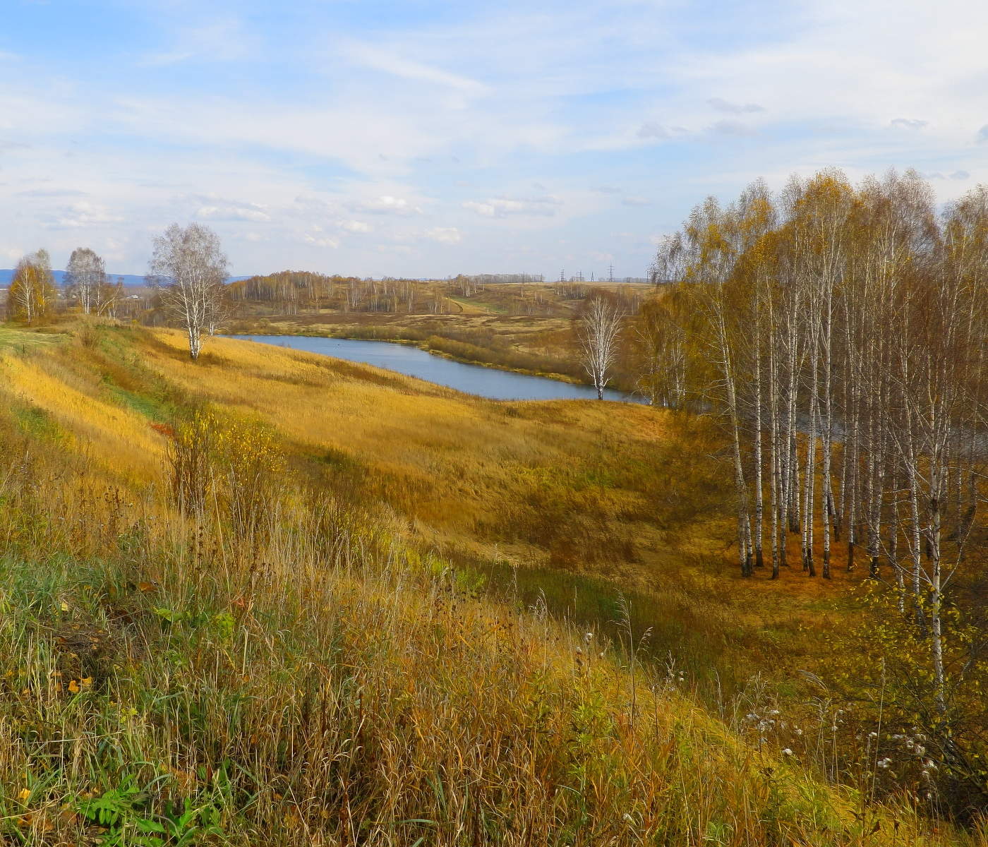 Осень - рыжая кокетка