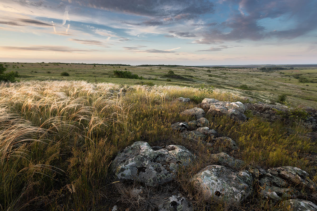 Степные картинки