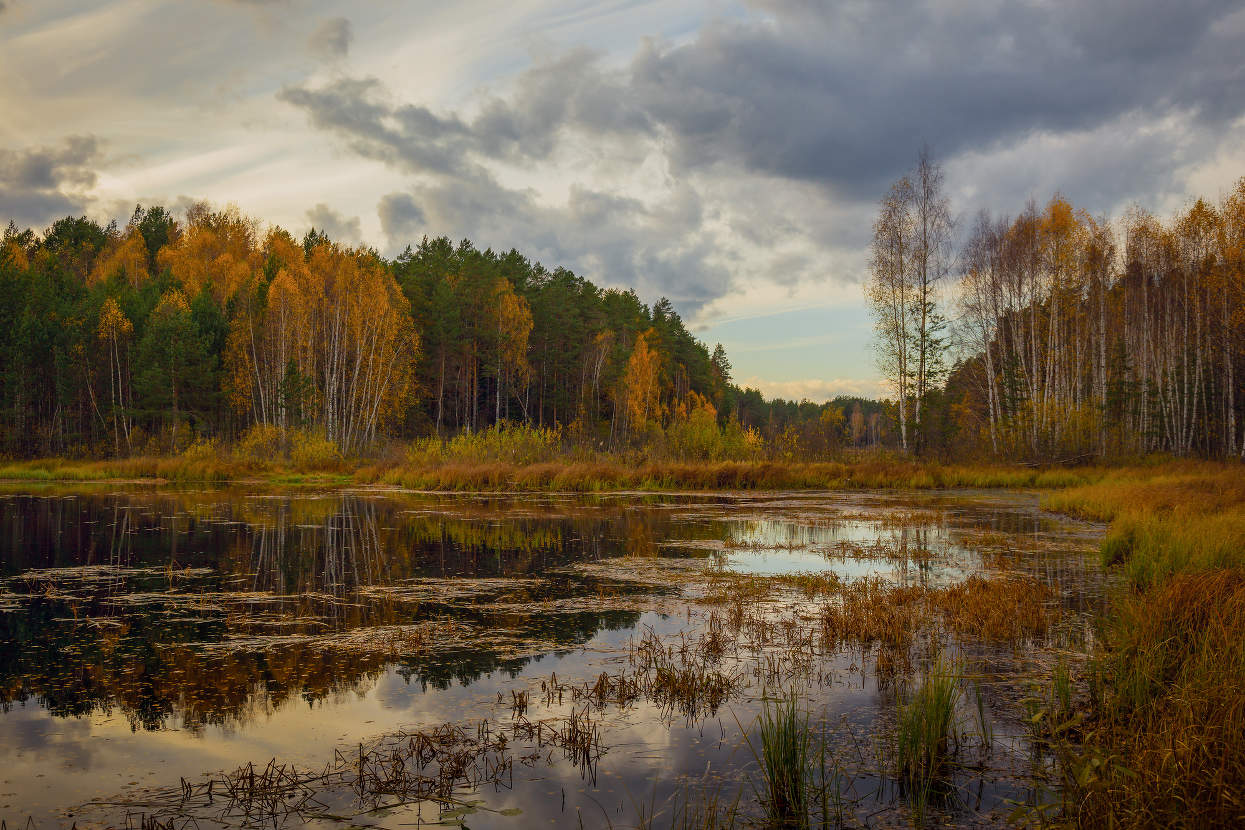 На исходе осени