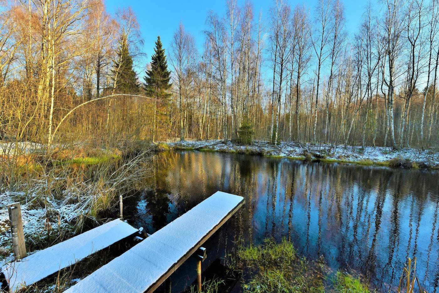 "Все ноябрь уж подытожил, скоро осени финал..."